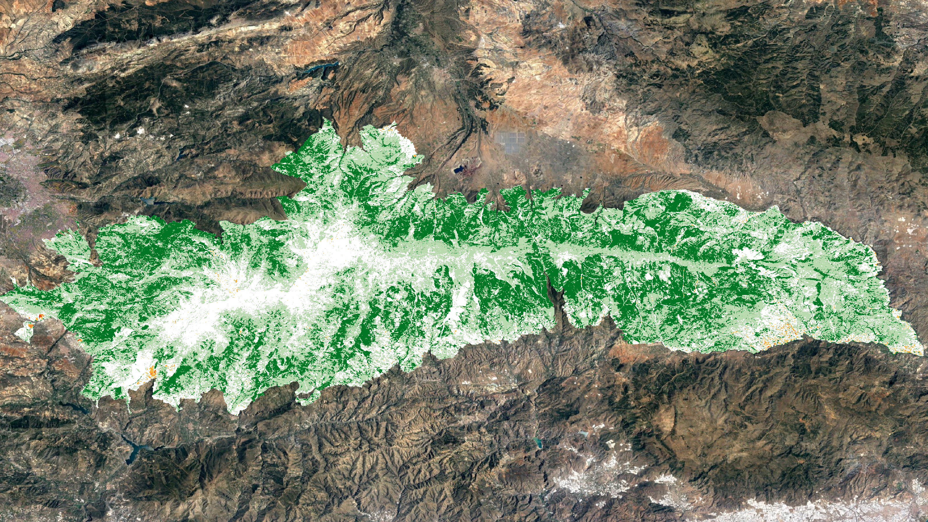 Cambios en la productividad de la vegetación de Sierra Nevada: cuatro décadas de observación satelital